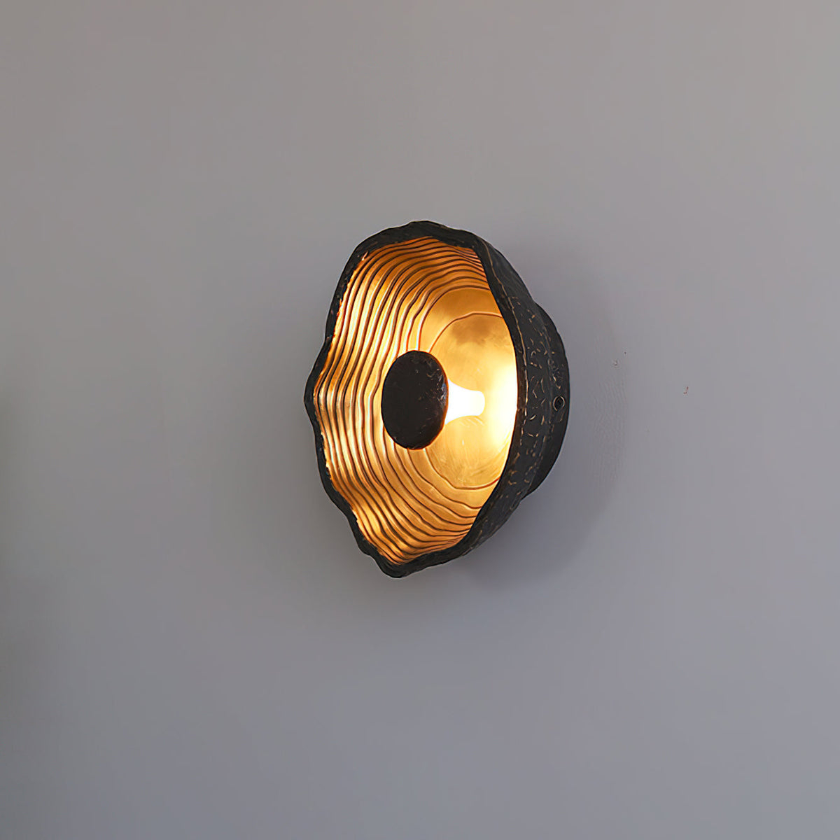 Selivelia wandlamp