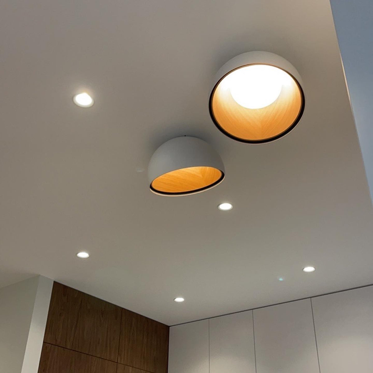 Halo plafondlamp