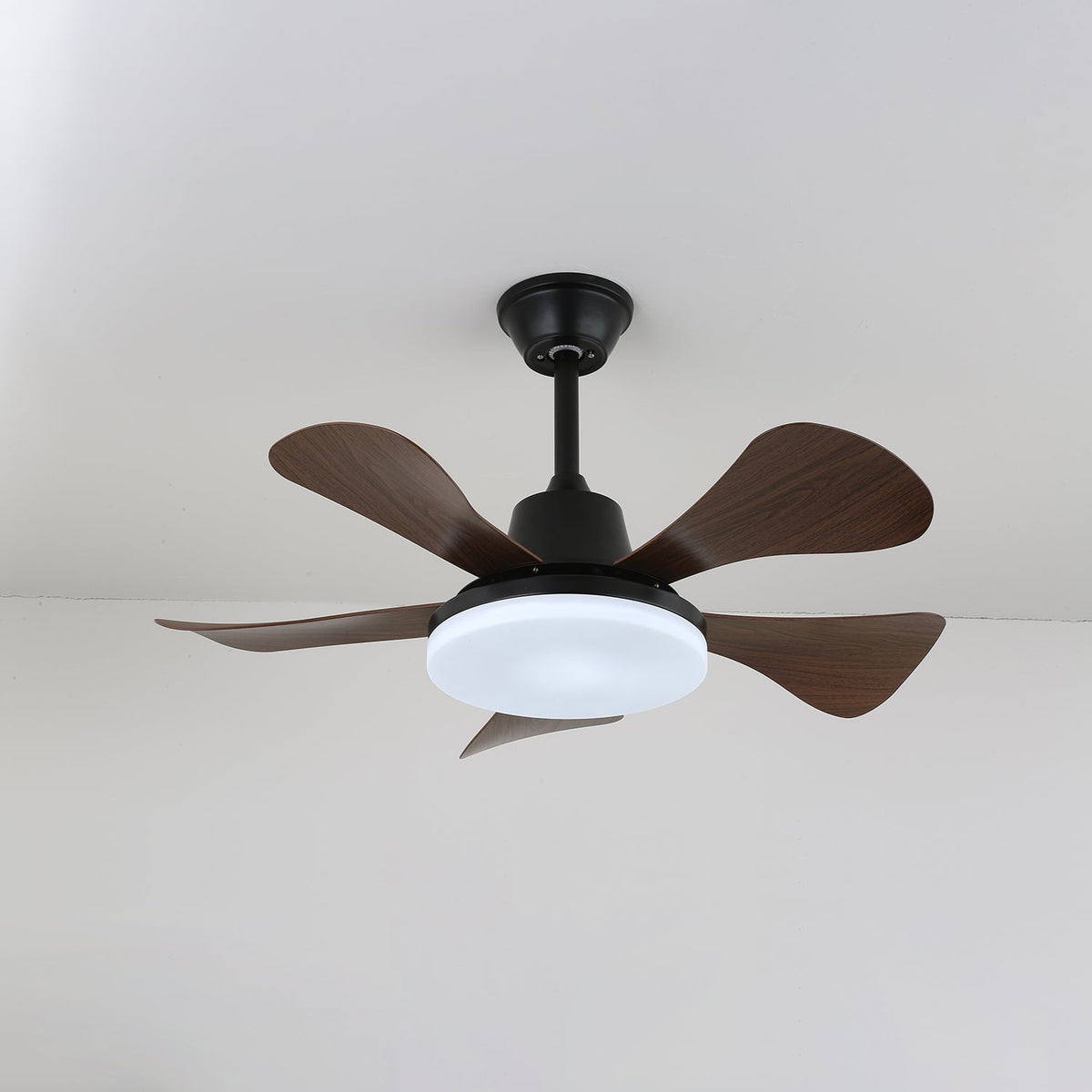 Aveline plafondventilator met verlichting van walnoothout