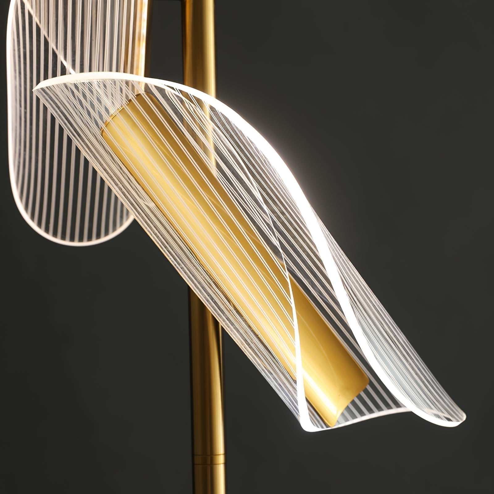 Salgado Moderne LED Vloerlamp Metaal/Acryl Goud Slaap/Woon/Eetkamer