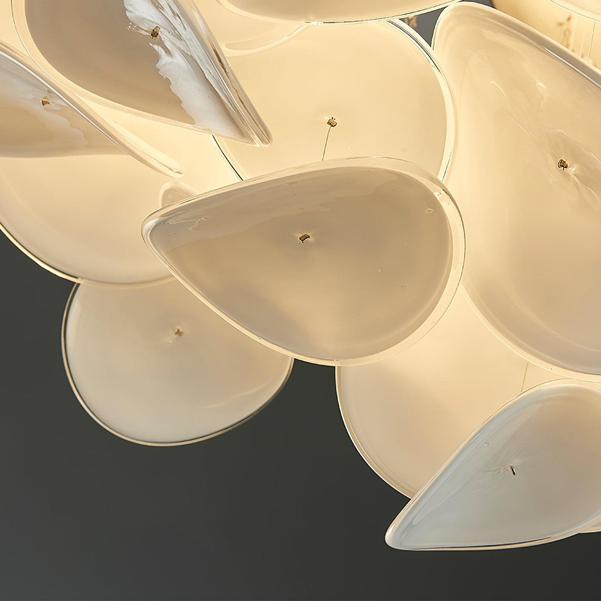 Viraalian plafondlamp met Franse bloemblaadjes voor moderne huizen