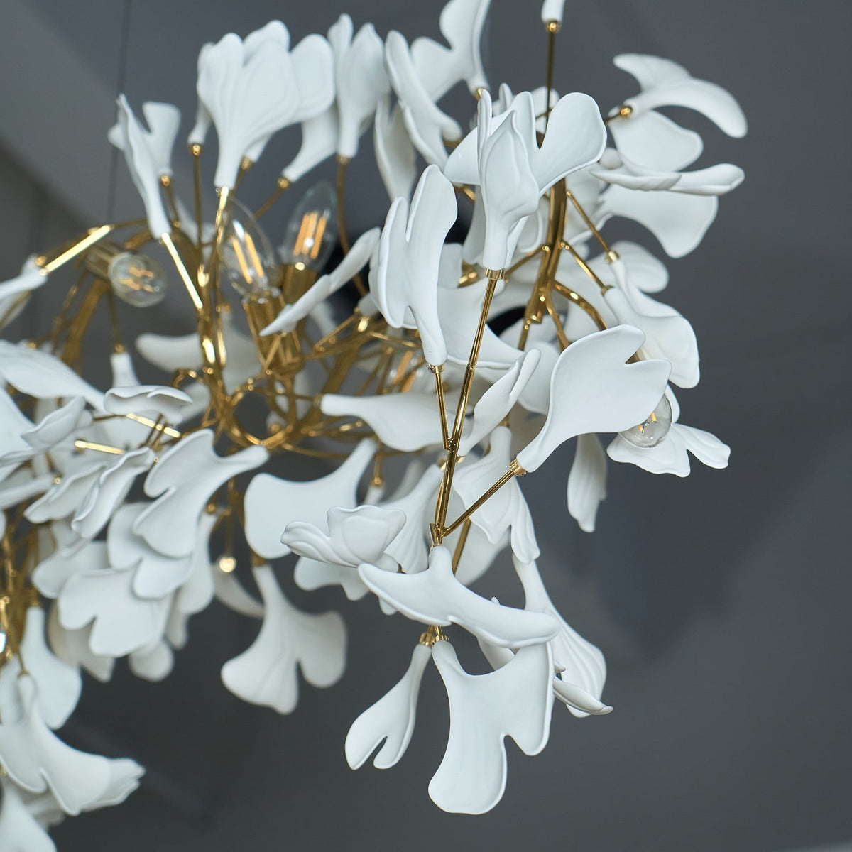 Ginkgo kroonluchter Cluster