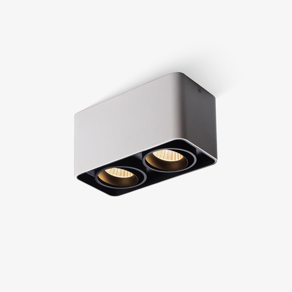 Devely Spotlight Vlakke Plafondmontage Dubbele LED Hoekige Minimalistische