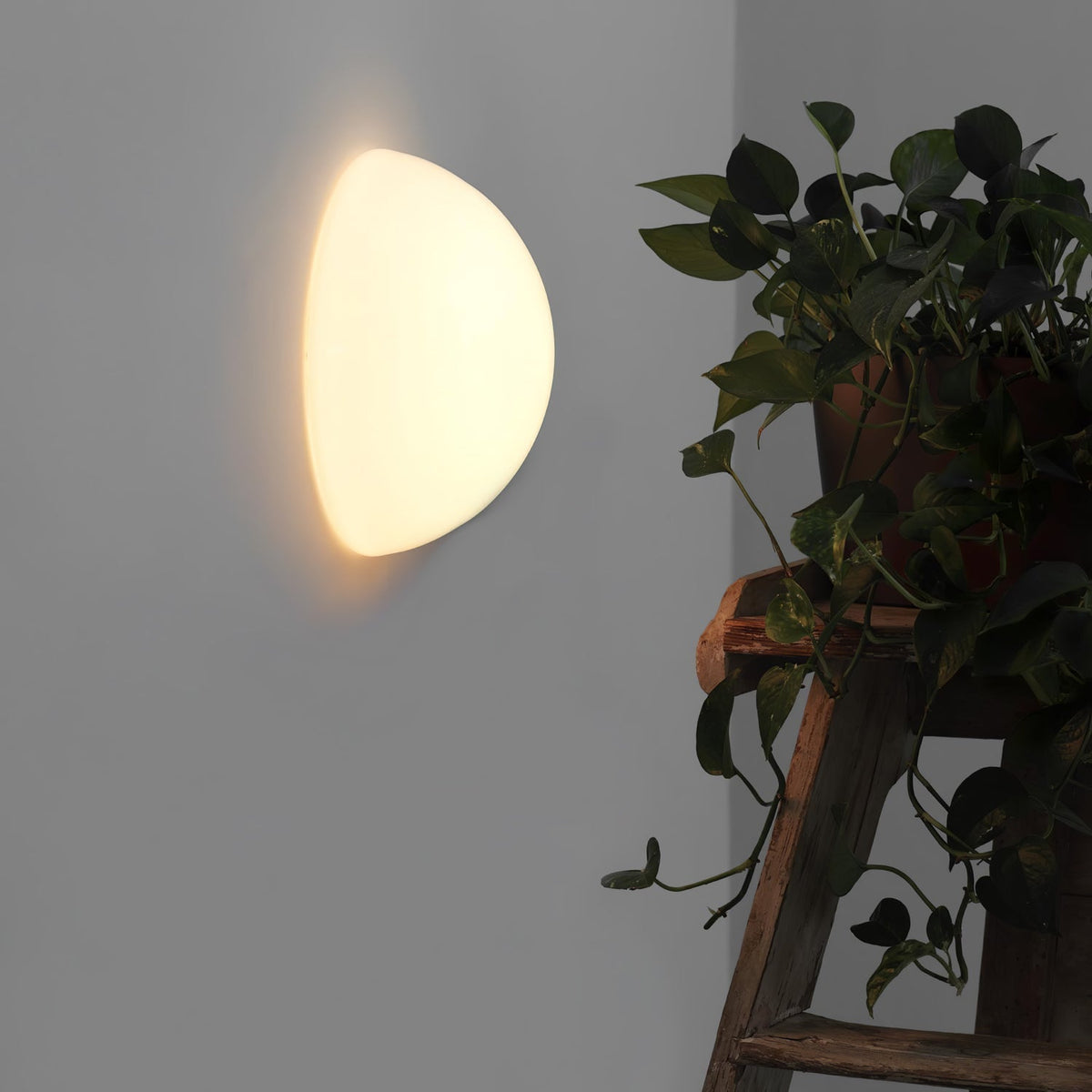 Vesilis Moderne minimalistische wandlamp van glas