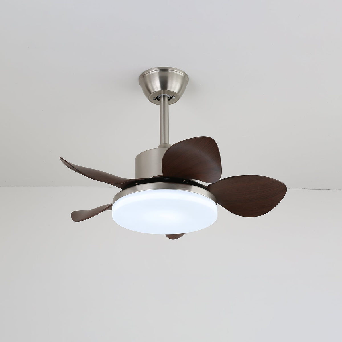 Rinelel plafondventilator met verlichting van walnoot