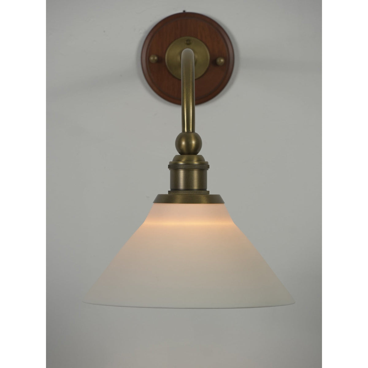 Liorivenne wandlamp