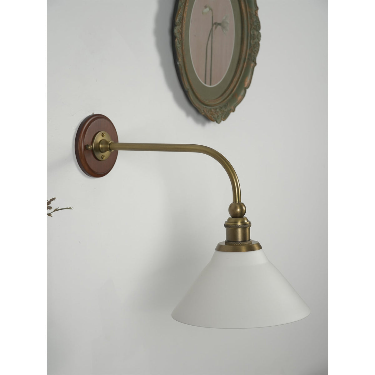 Liorivenne wandlamp