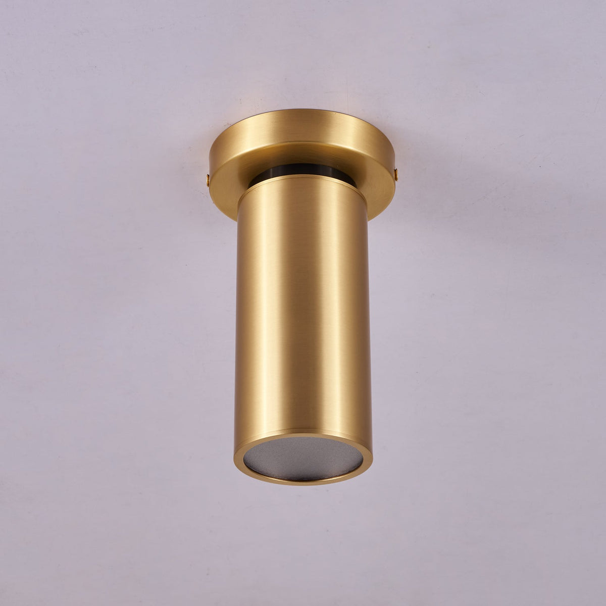 Syloran moderne minimalistische plafondlamp van messing