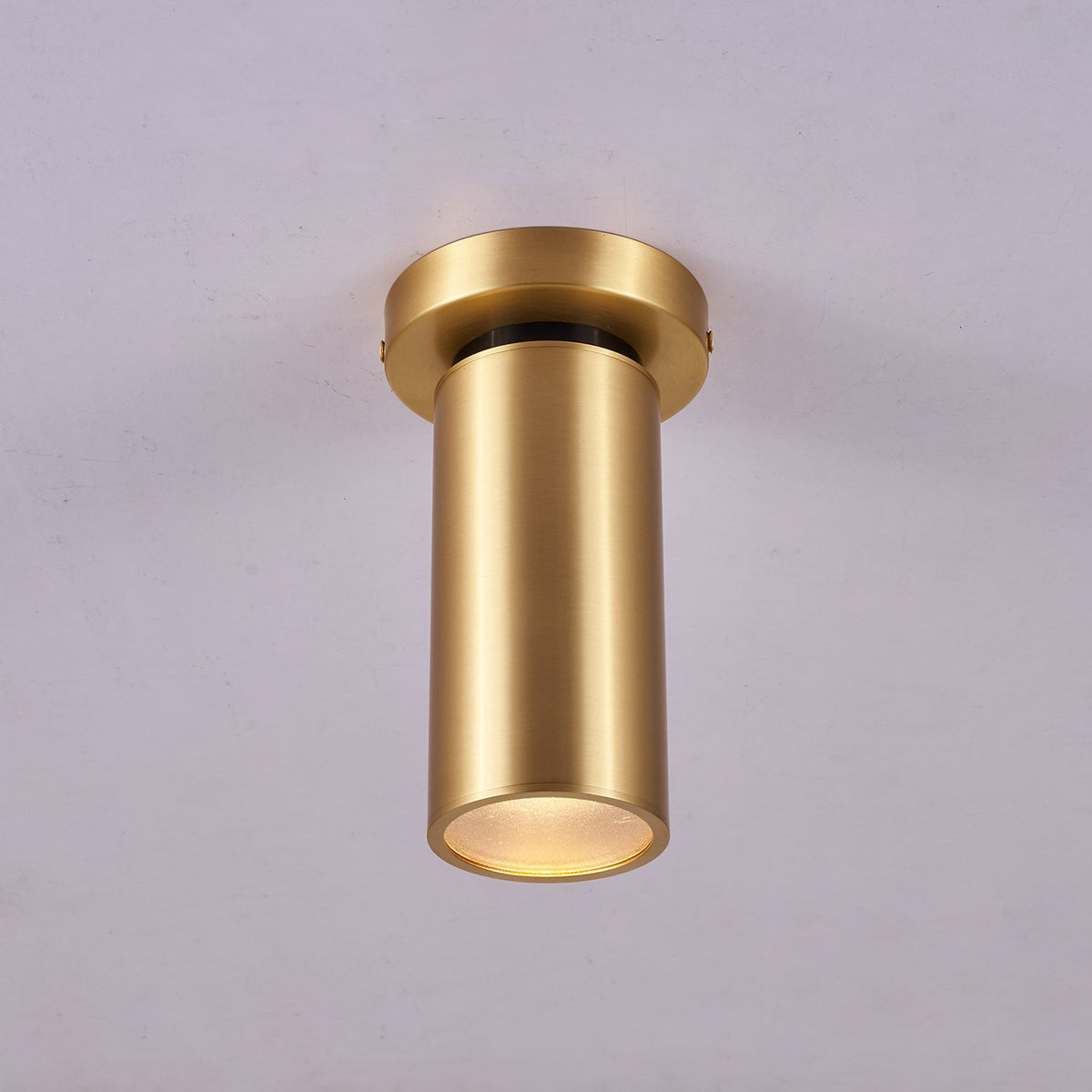 Syloran moderne minimalistische plafondlamp van messing