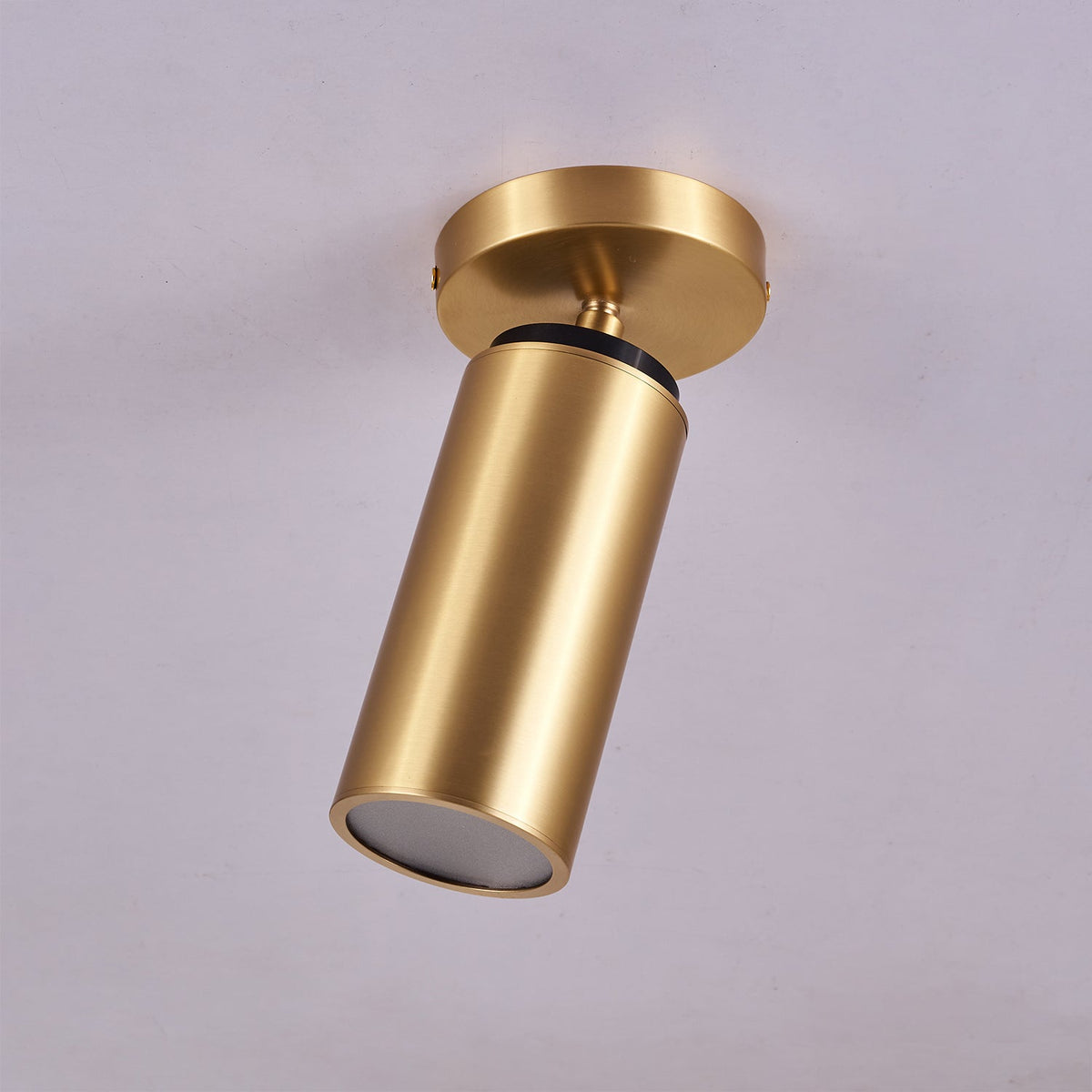 Syloran moderne minimalistische plafondlamp van messing