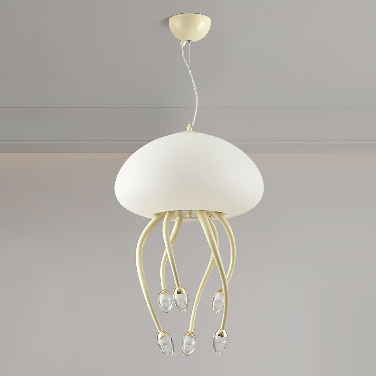 Niruiella Acryl Cozy hanglamp
