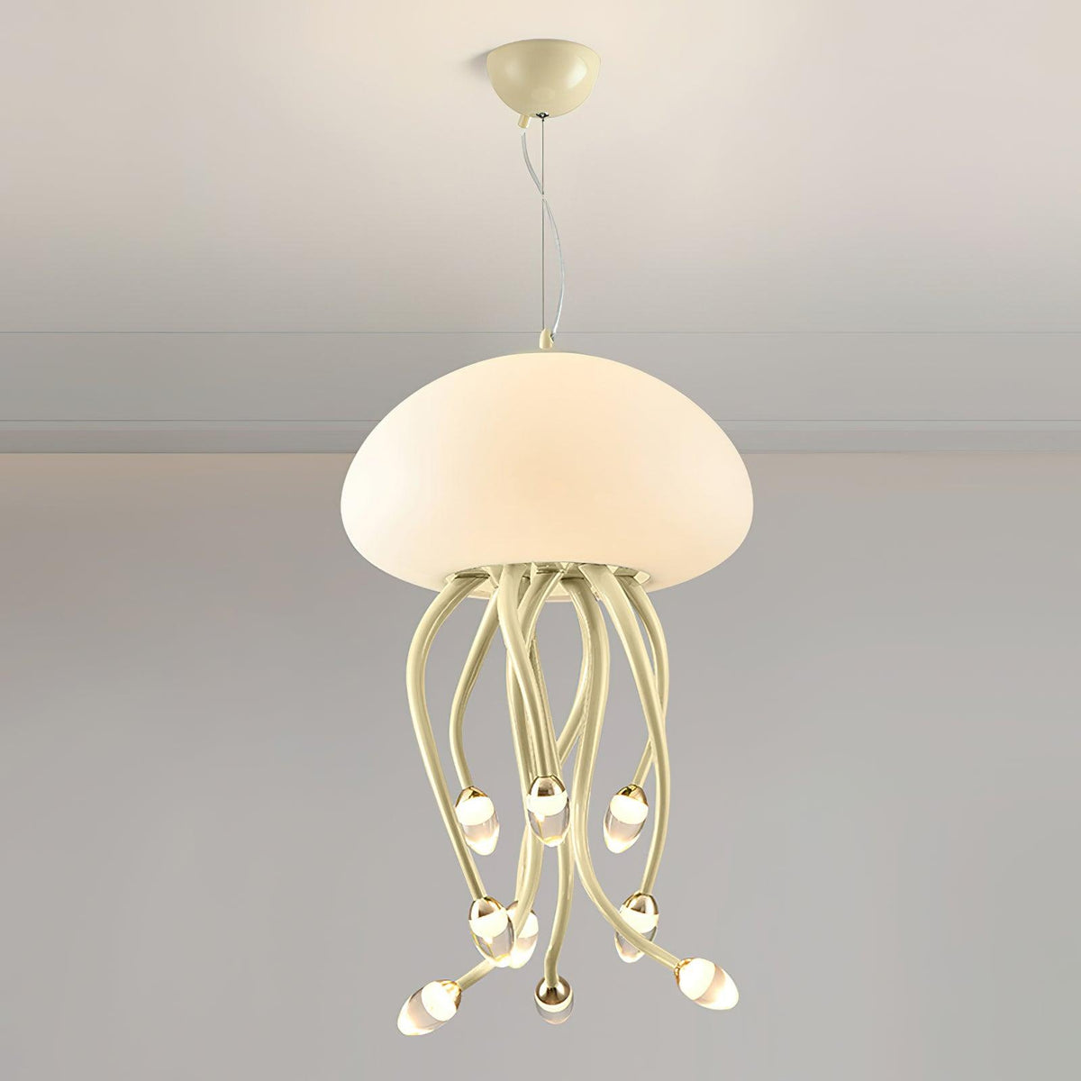 Niruiella Acryl Cozy hanglamp