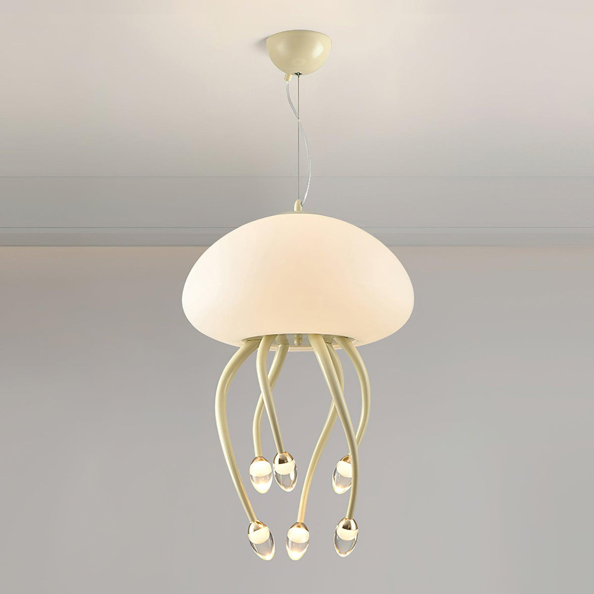 Niruiella Acryl Cozy hanglamp