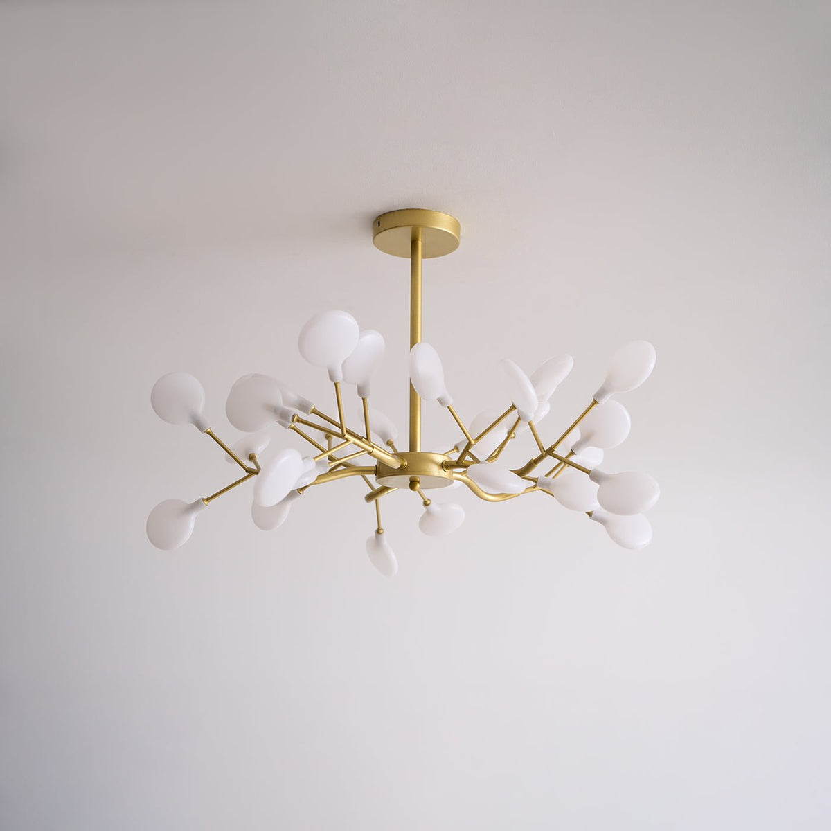 Riviselle LED Firefly Kroonluchter