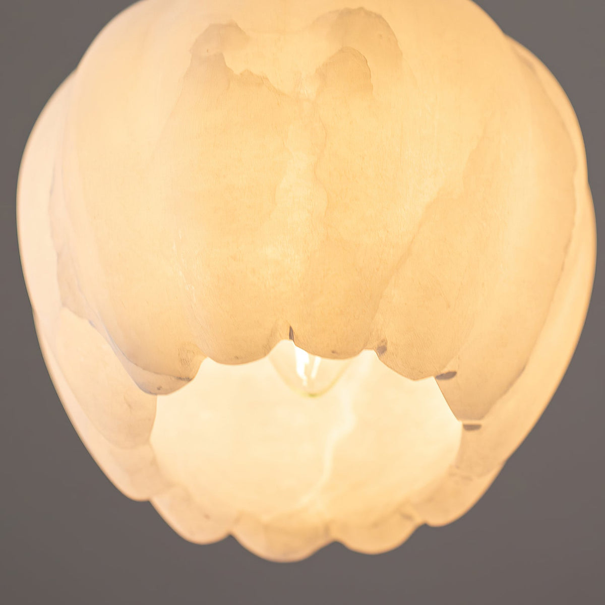 Olraeos hanglamp