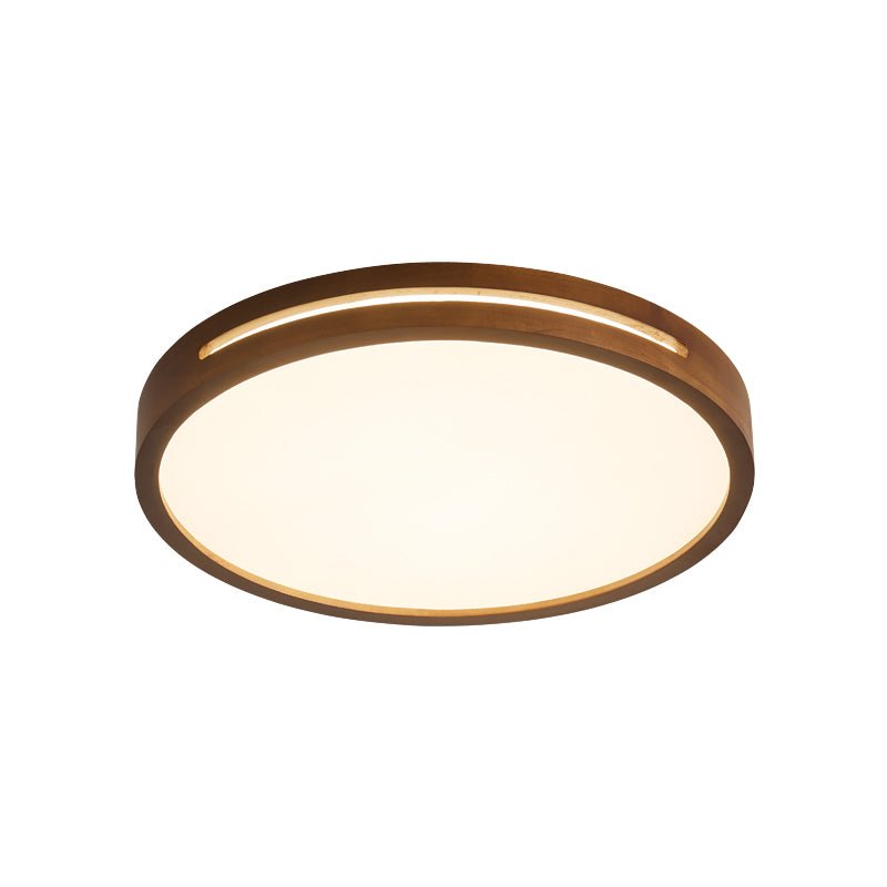 Vizoros Moderne Minimalistische Plafondlamp