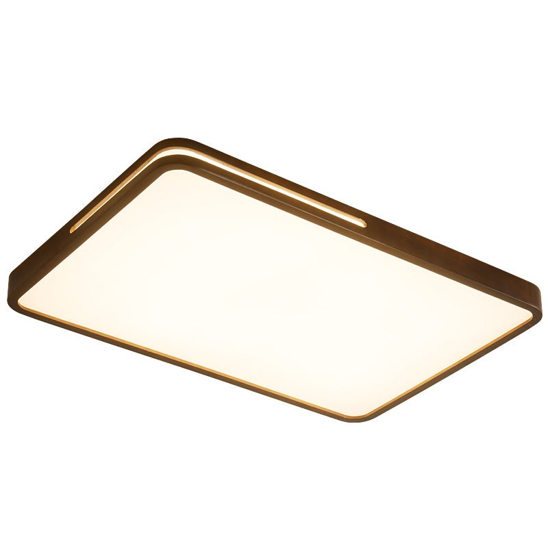 Vizoros Moderne Minimalistische Plafondlamp