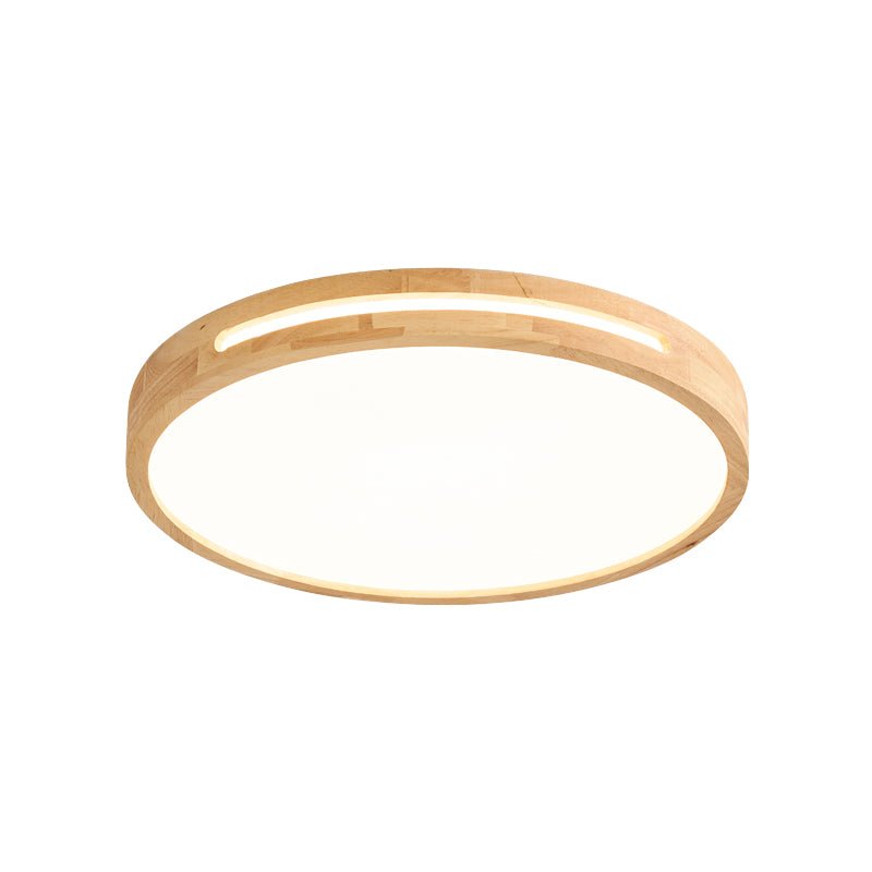 Vizoros Moderne Minimalistische Plafondlamp