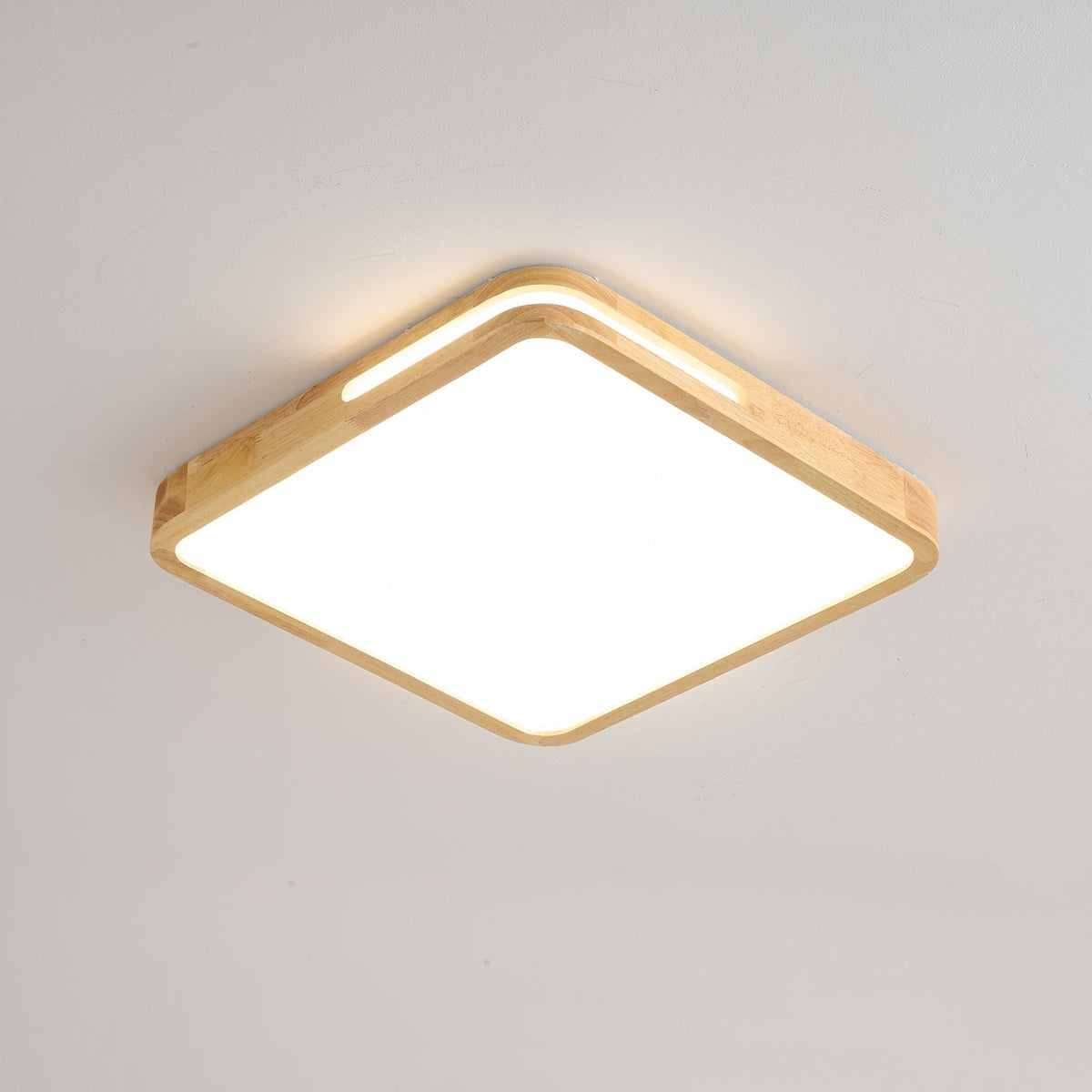 Vizoros Moderne Minimalistische Plafondlamp