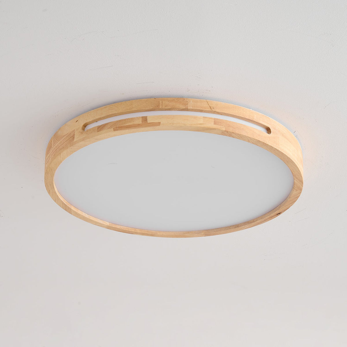 Vizoros Moderne Minimalistische Plafondlamp