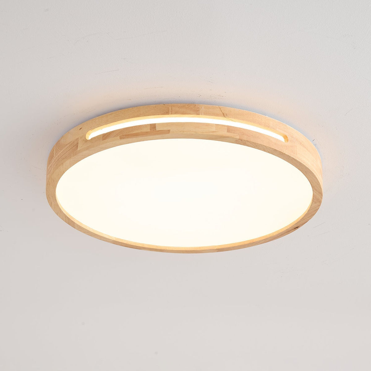 Vizoros Moderne Minimalistische Plafondlamp