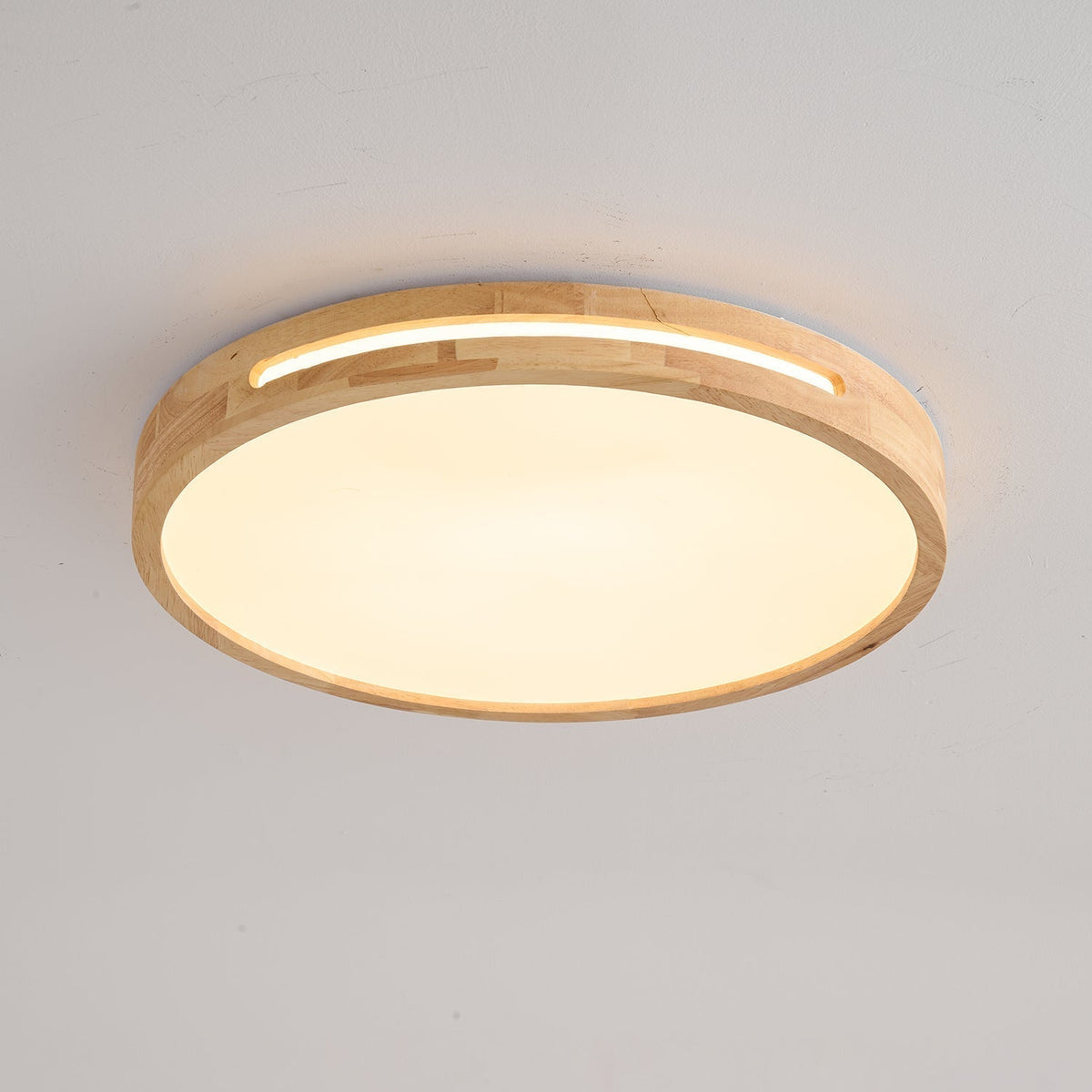 Vizoros Moderne Minimalistische Plafondlamp
