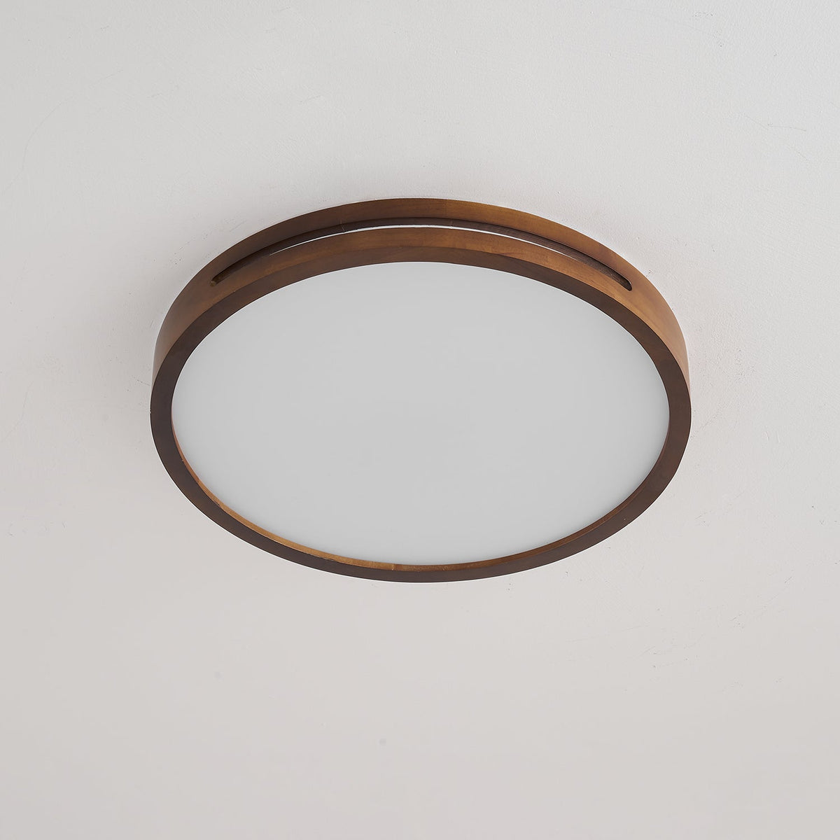 Vizoros Moderne Minimalistische Plafondlamp