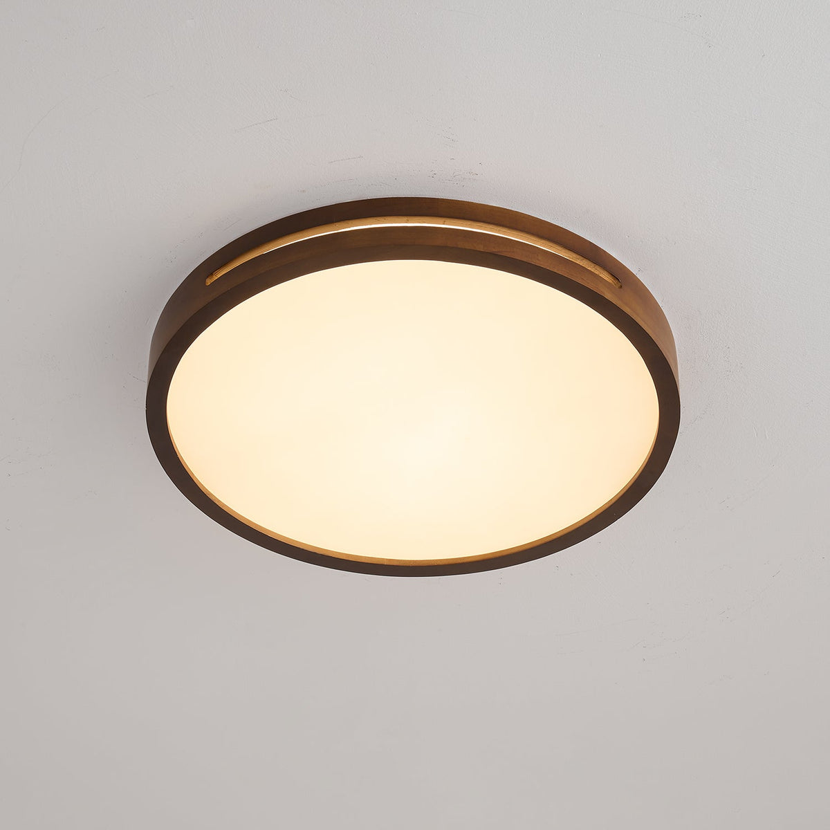 Vizoros Moderne Minimalistische Plafondlamp