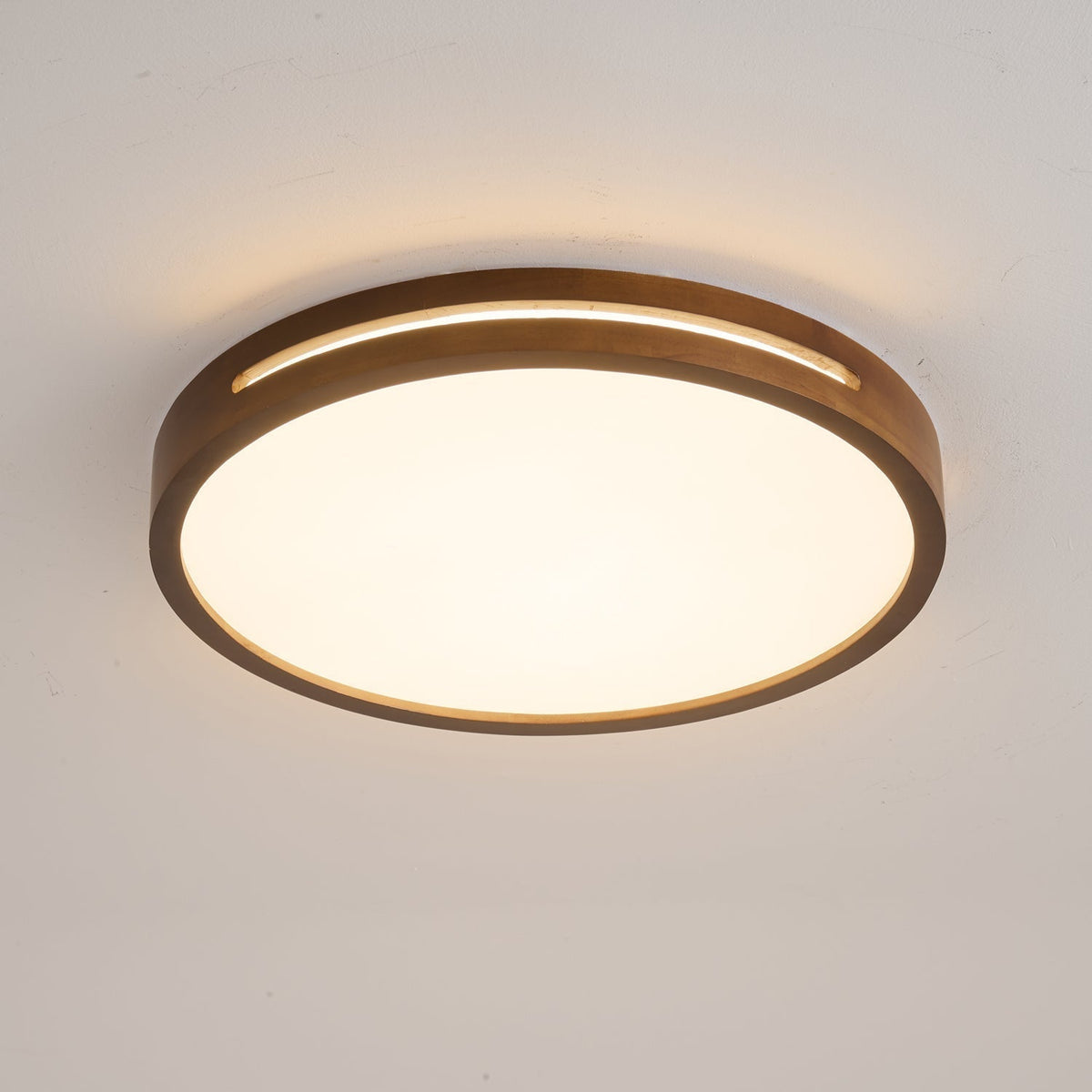 Vizoros Moderne Minimalistische Plafondlamp
