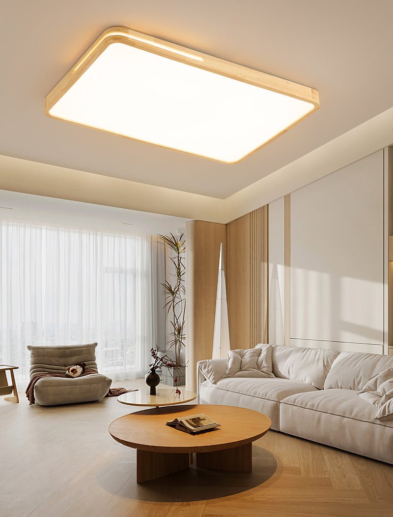 Vizoros Moderne Minimalistische Plafondlamp