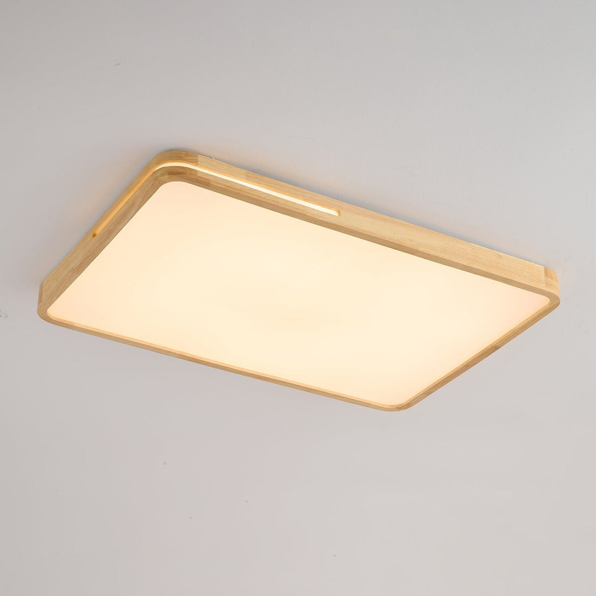 Vizoros Moderne Minimalistische Plafondlamp