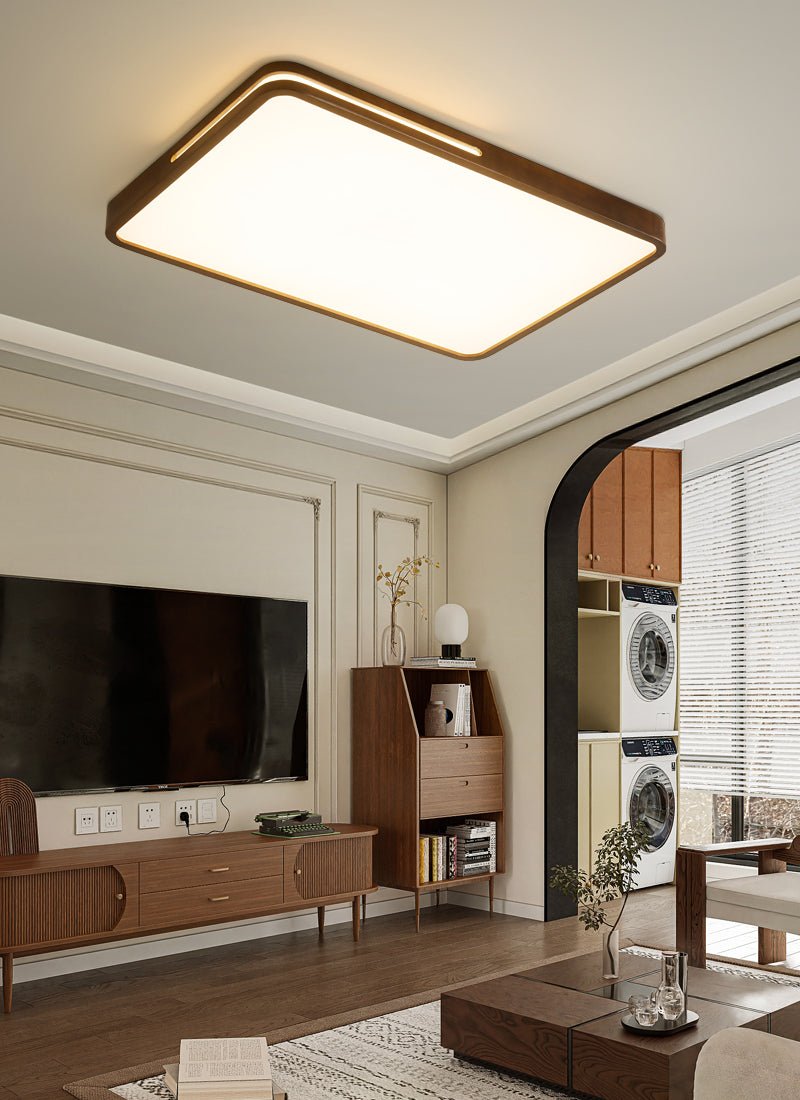 Vizoros Moderne Minimalistische Plafondlamp