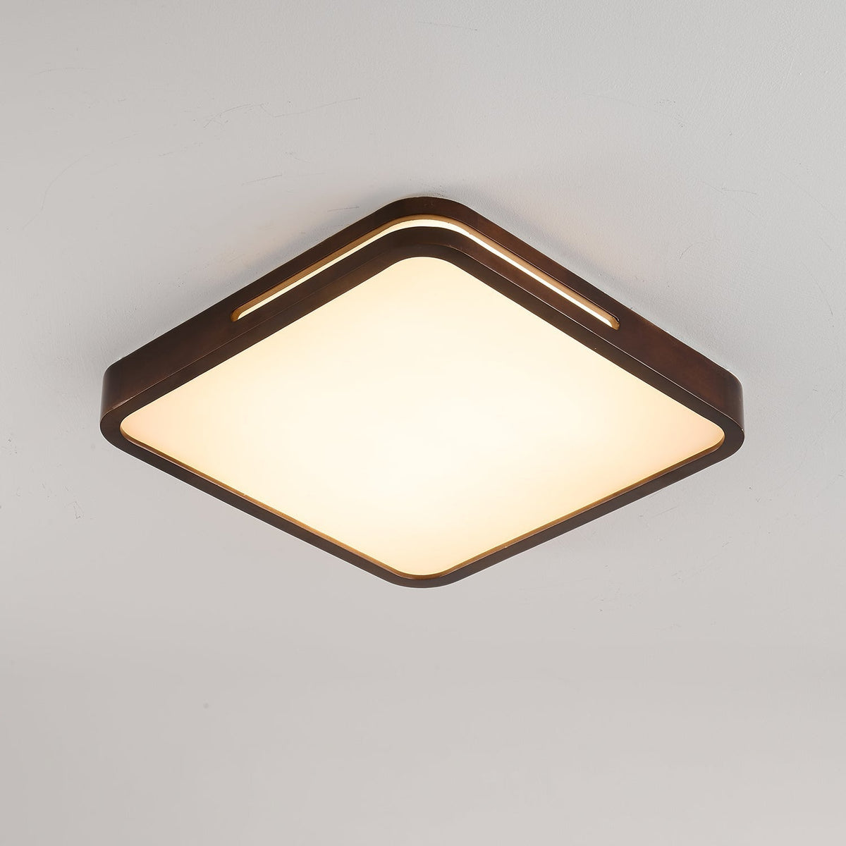 Vizoros Moderne Minimalistische Plafondlamp