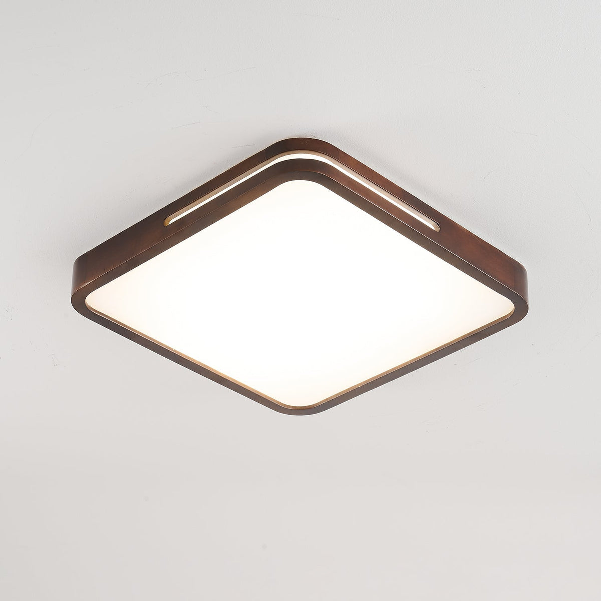 Vizoros Moderne Minimalistische Plafondlamp