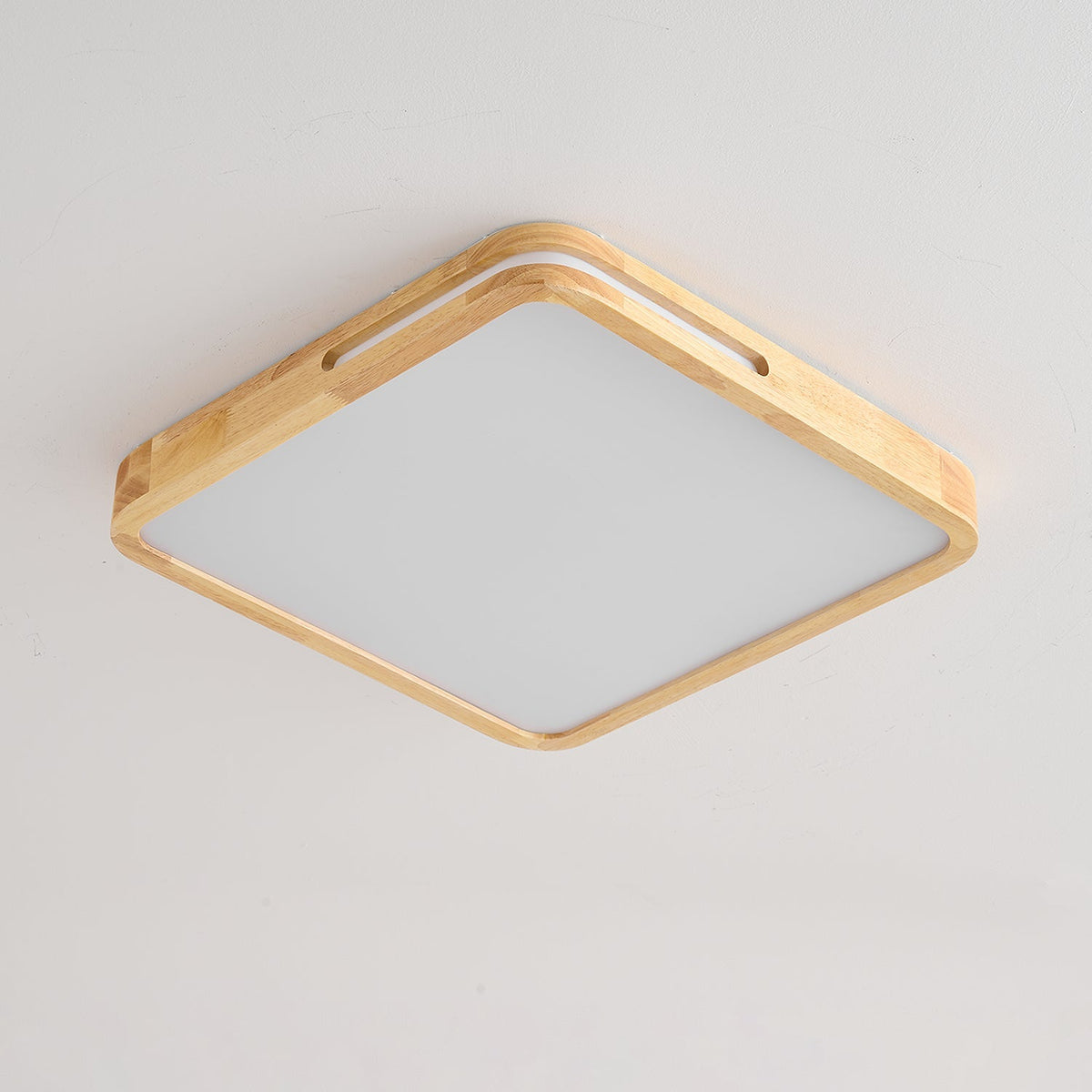 Vizoros Moderne Minimalistische Plafondlamp