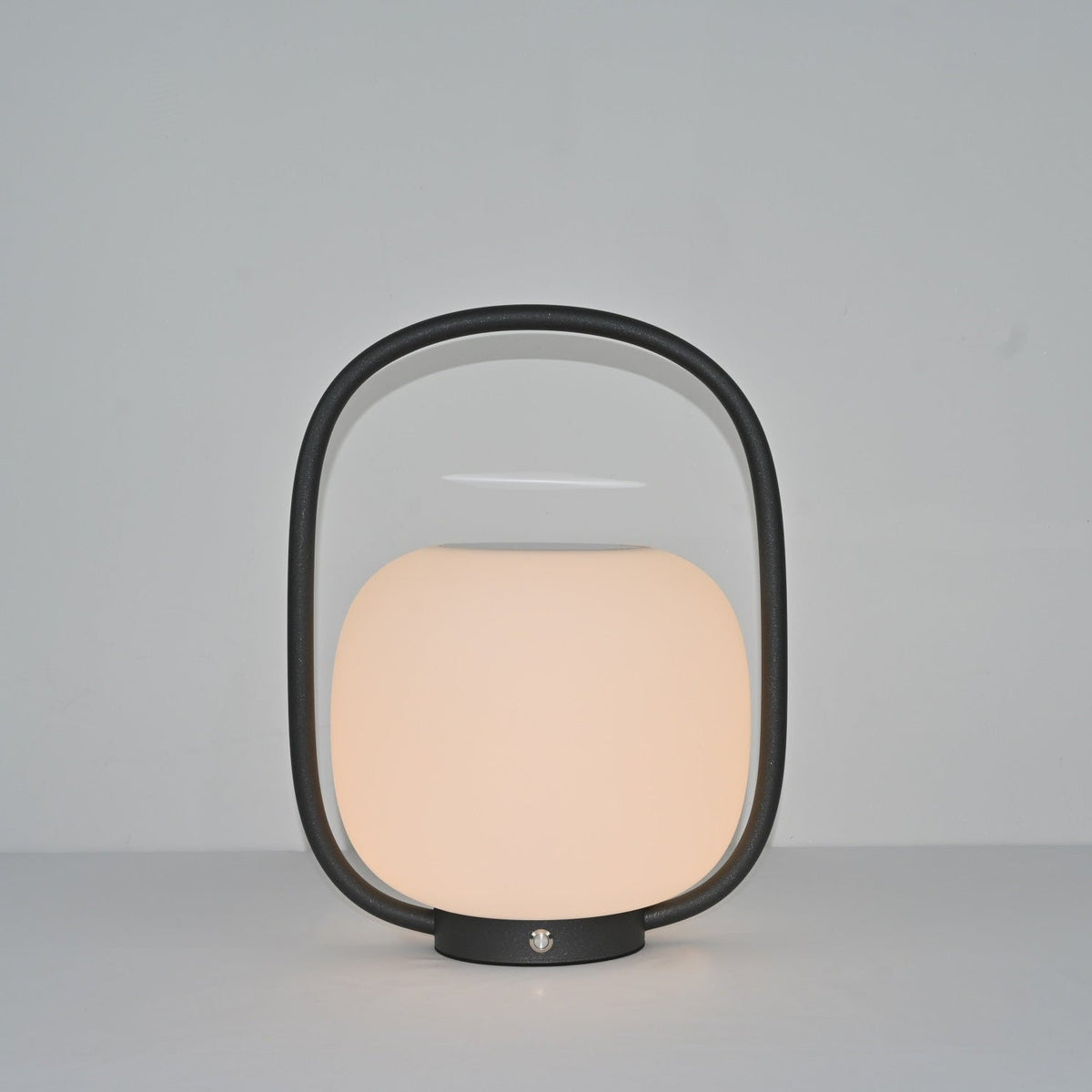 Rivoel transparant PE buitenwandlamp