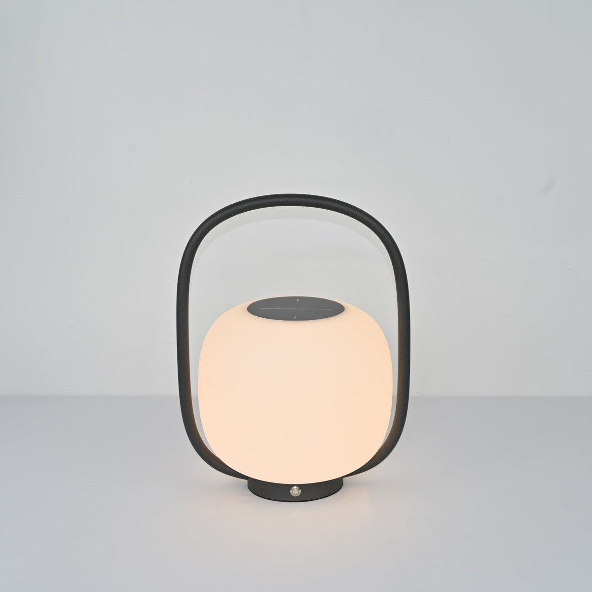 Rivoel transparant PE buitenwandlamp
