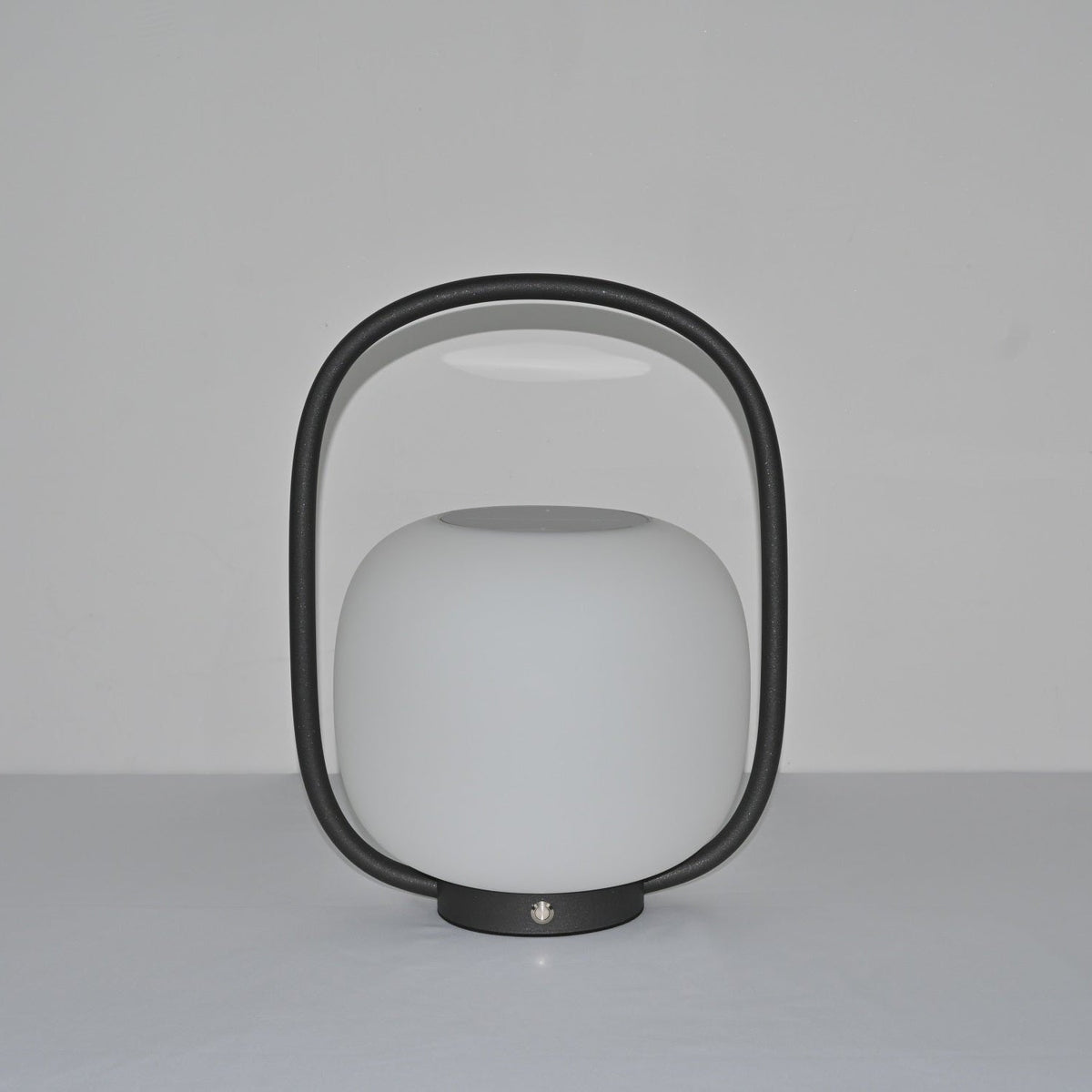 Rivoel transparant PE buitenwandlamp