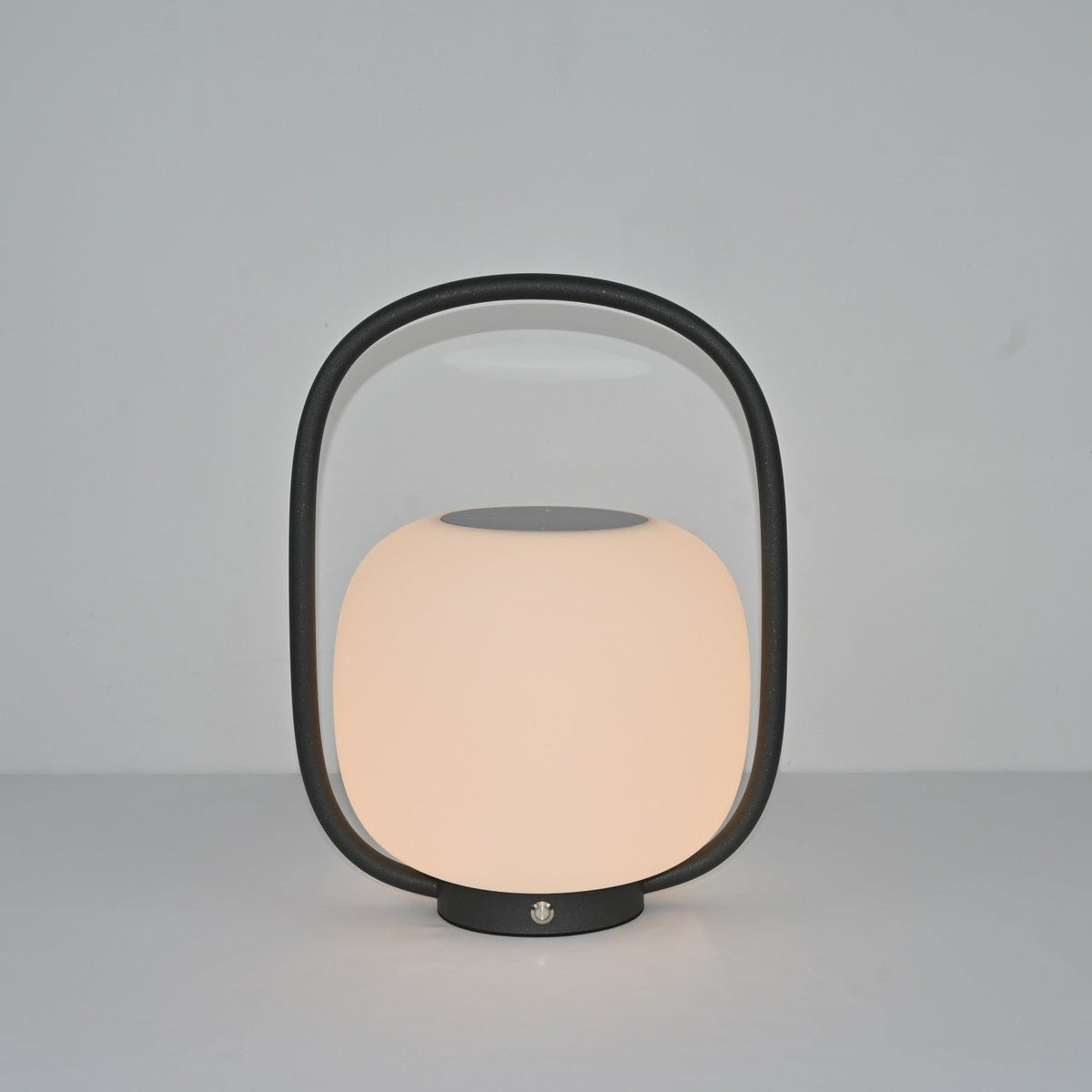 Rivoel transparant PE buitenwandlamp