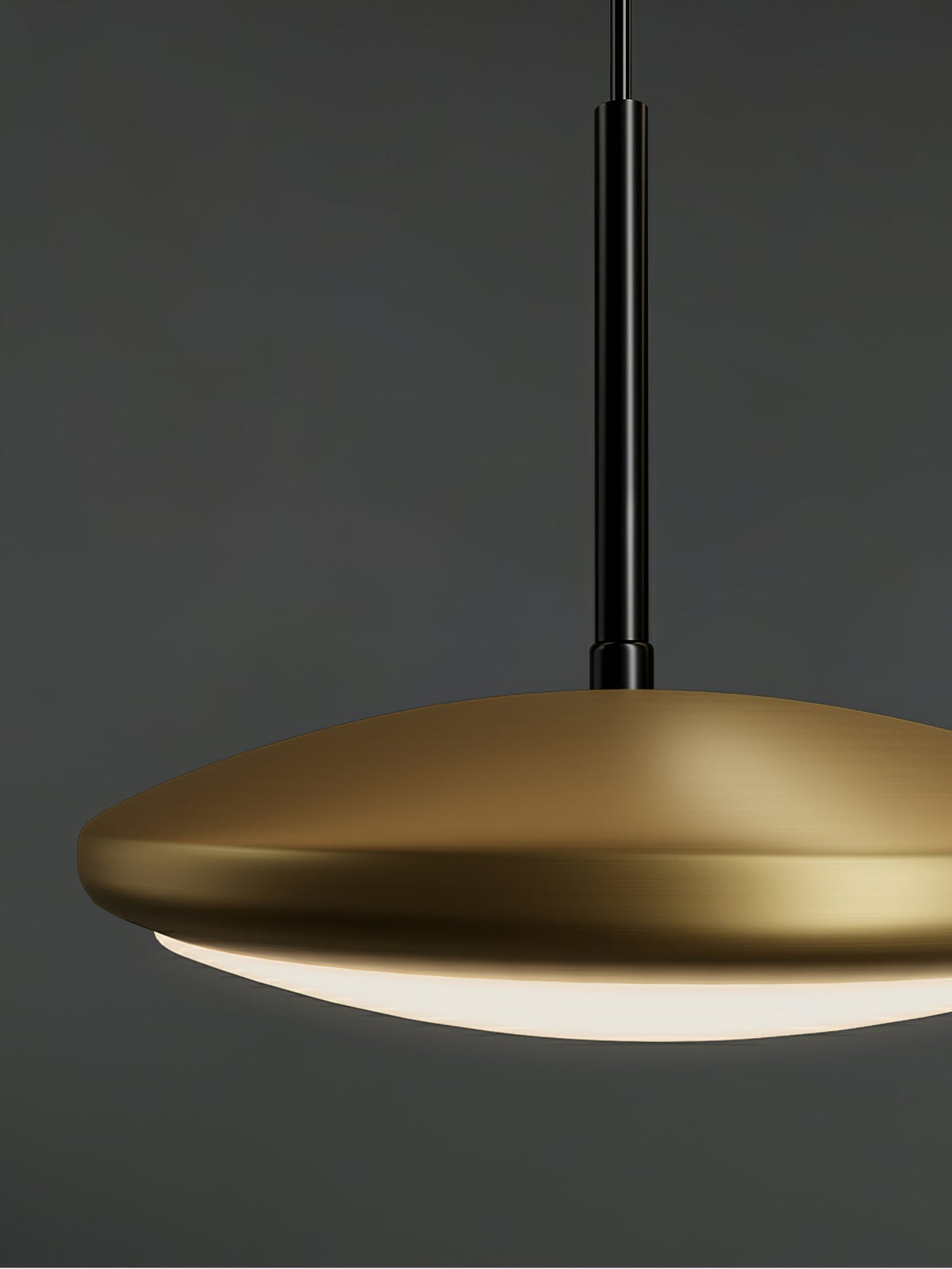 Tildas hanglamp geometrische ring minimalistisch