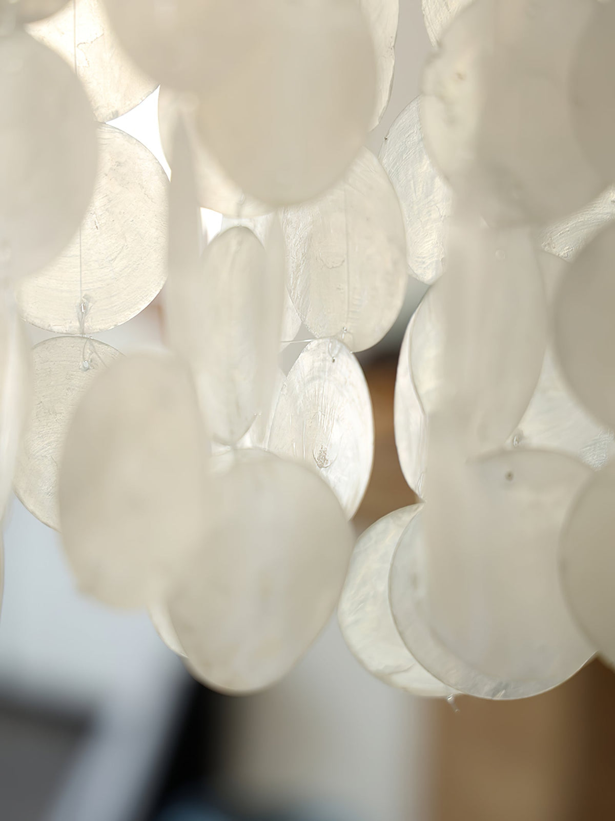 Eloryra Cascading Shell Kroonluchter