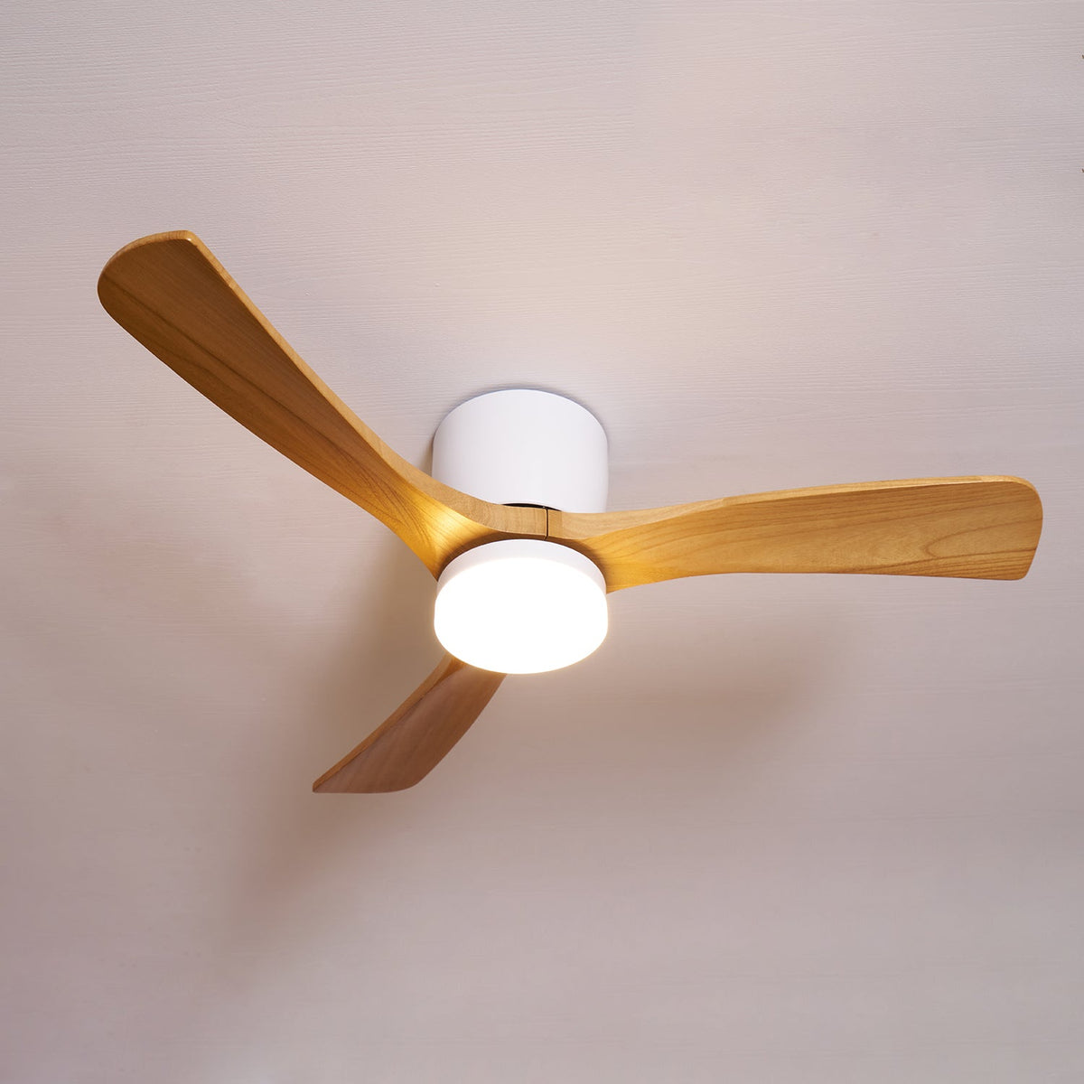 Elaerine plafondventilator met verlichting