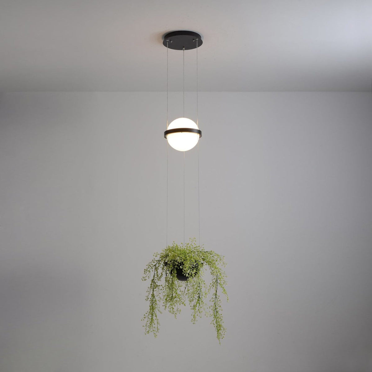Vacaria hanglamp