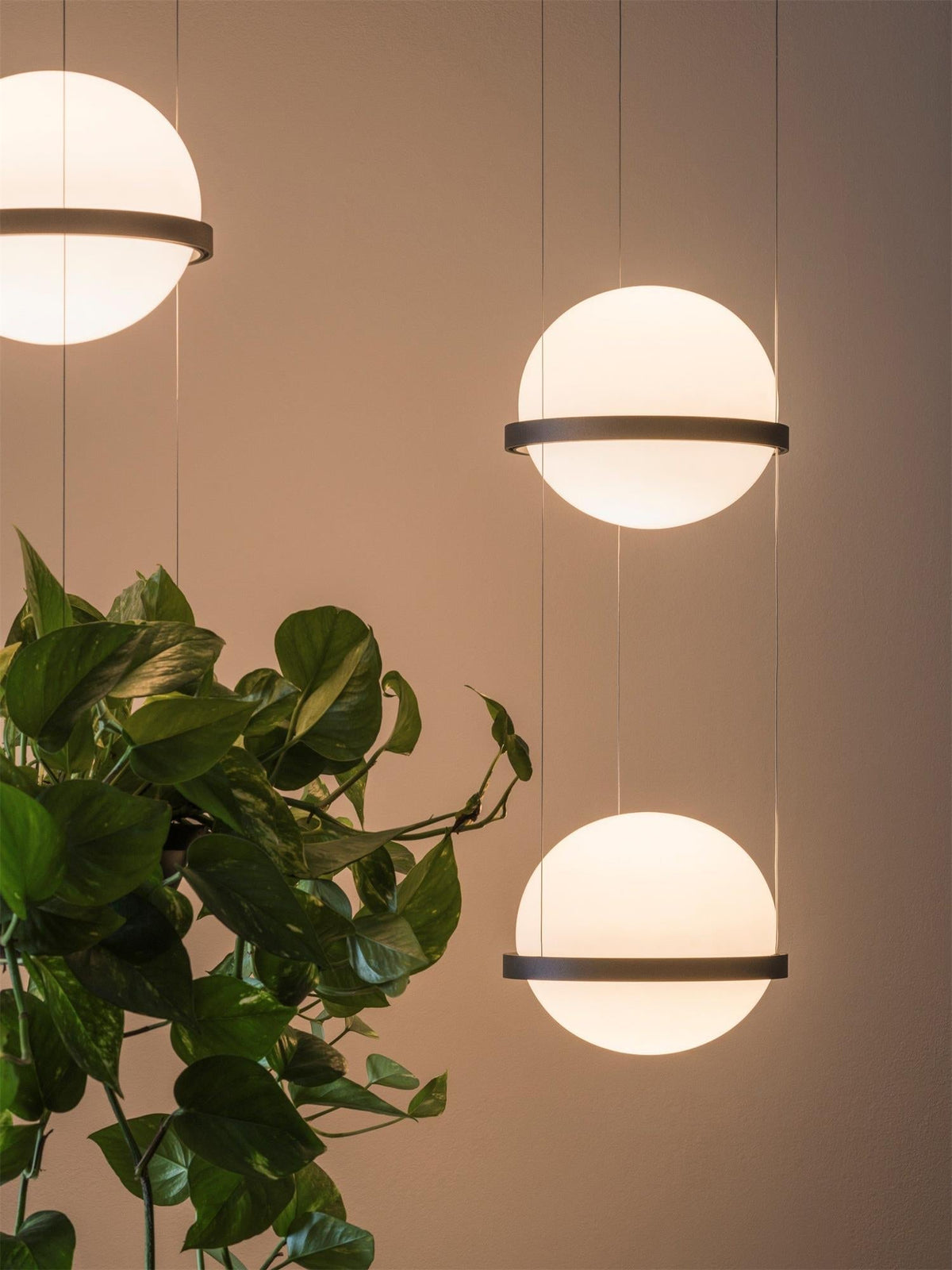 Vacaria hanglamp