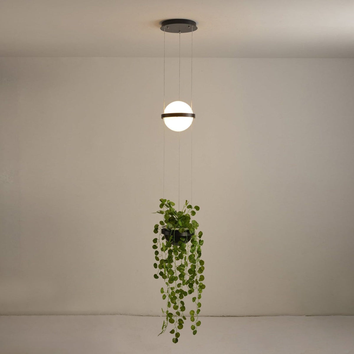Vacaria hanglamp