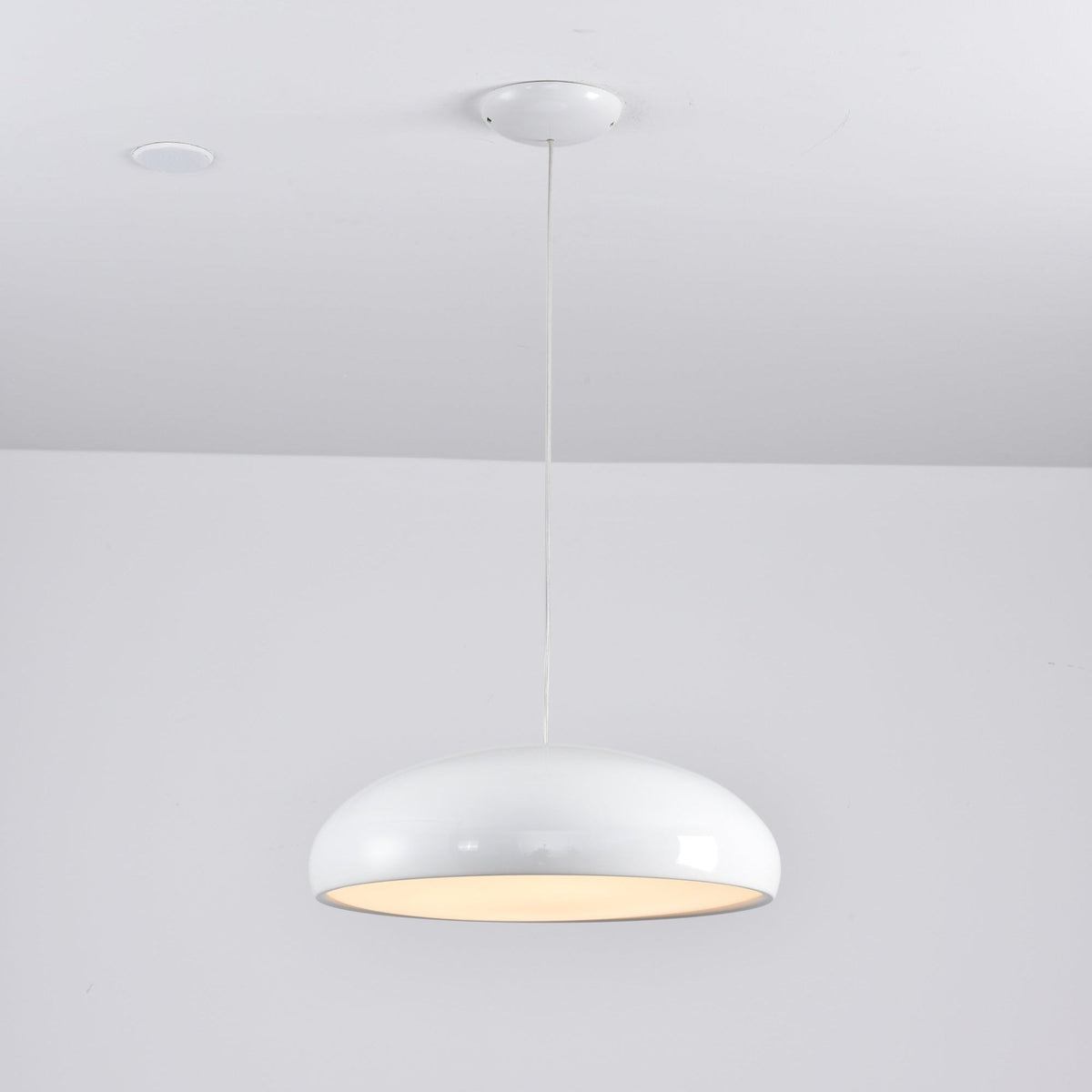 Renaraine Minimalistische hanglamp