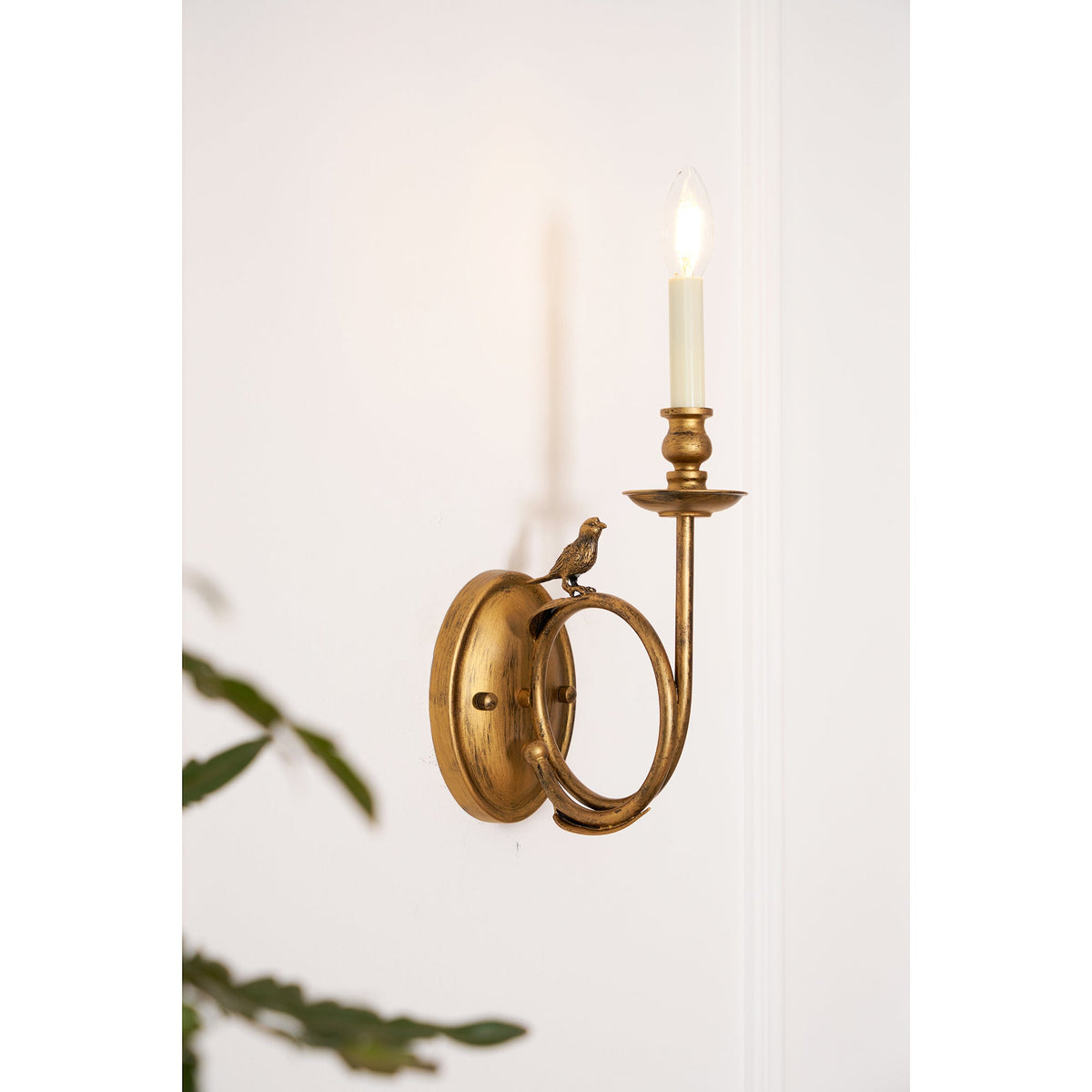 Viraearia wandlamp