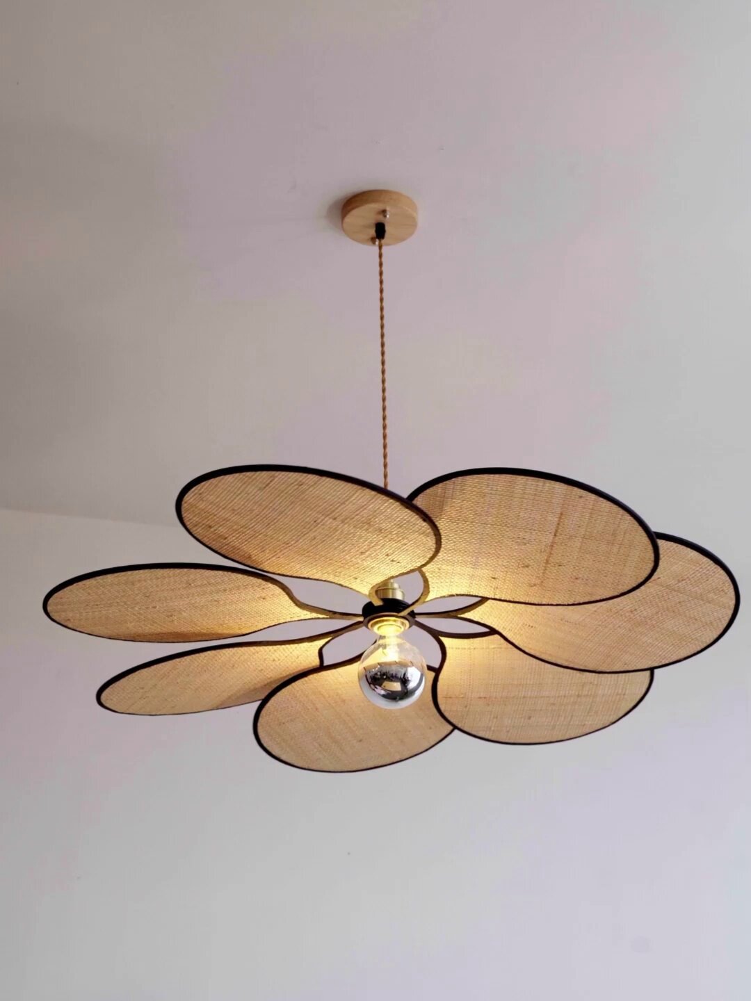 Soriniella hanglamp