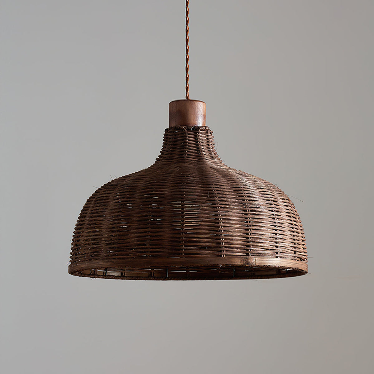 Elaeina hanglamp