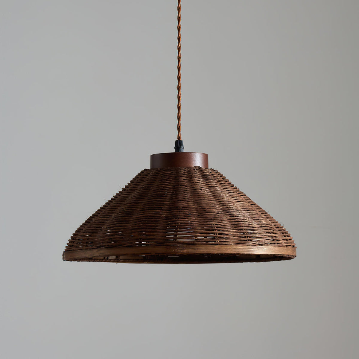 Elaeina hanglamp